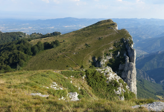 Roche-Courbe