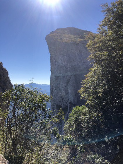 Roche Courbe