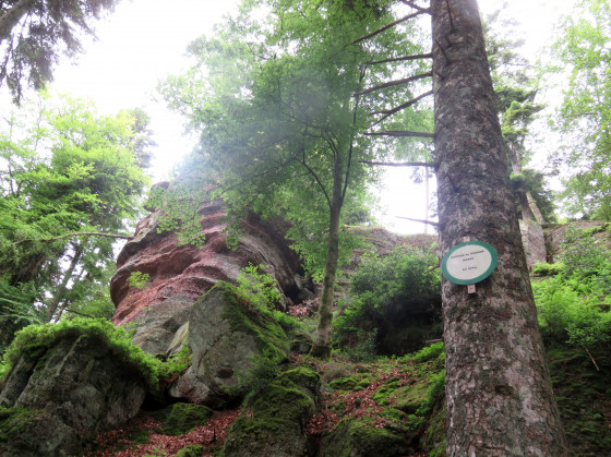 Roche de Grandebasse