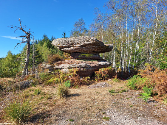 Roche des Druides.