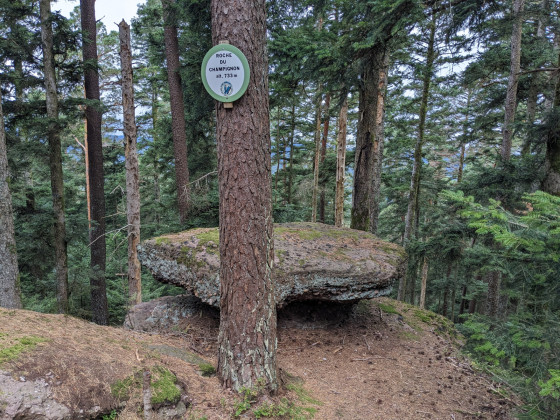 Roche du Champignon