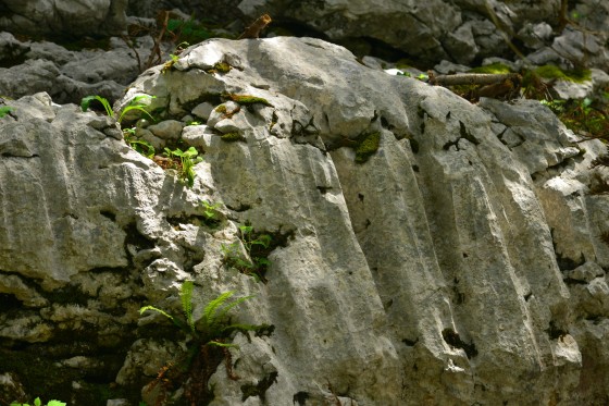 Roche du vercors
