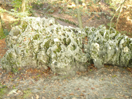 Roche Eponge