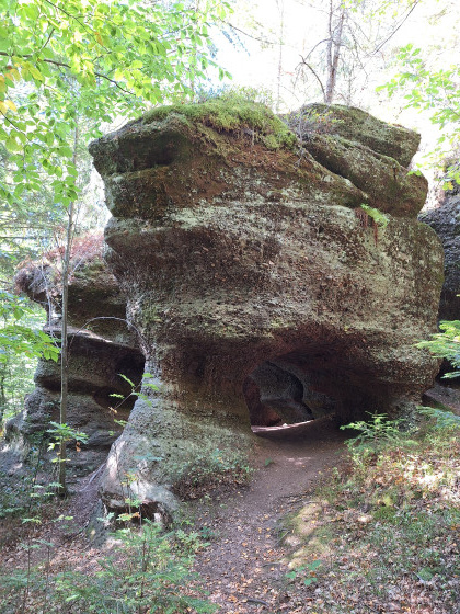 Roche Pierrot Ramella.