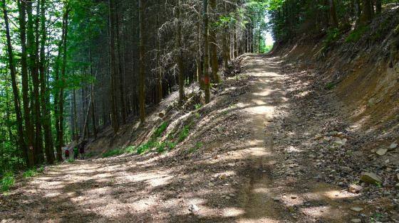 Roche Saint-Martin