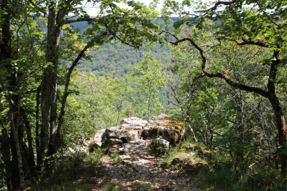 Roche Tire-Barbe