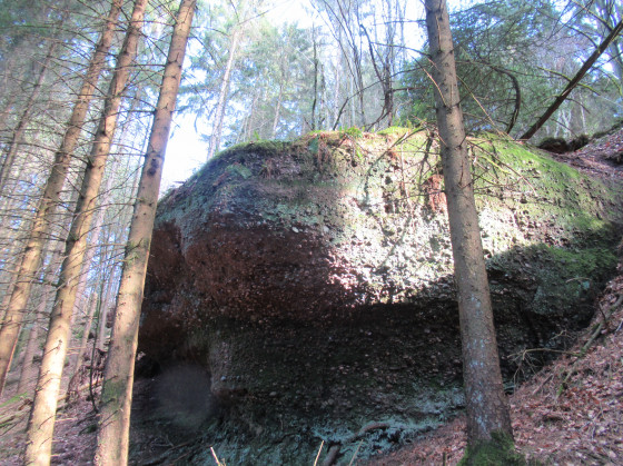 roche