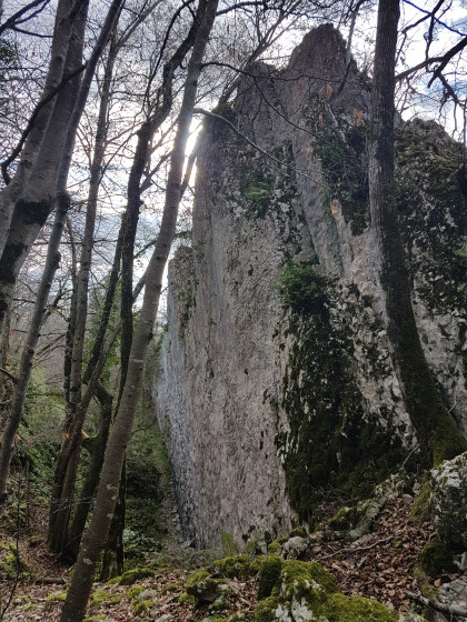 Rocher d'escalade sur le parcours