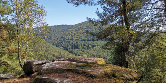 Rocher de l'&eacute;tang