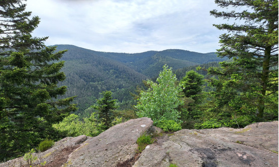 Rocher du Rosskopf