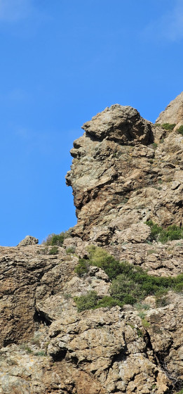 Rocher en forme de visage