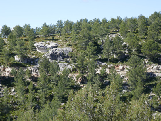 Rochers au-dessus du sentier