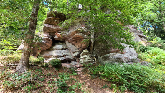 Rochers dans la forêt.