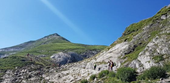 Rochers et cailloux