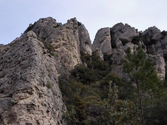 Roches dolomitiques