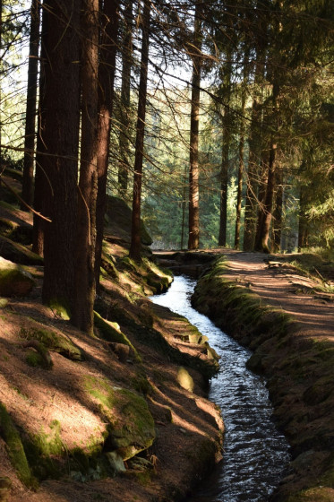 Röhrgraben Ehrenfriedersdorf