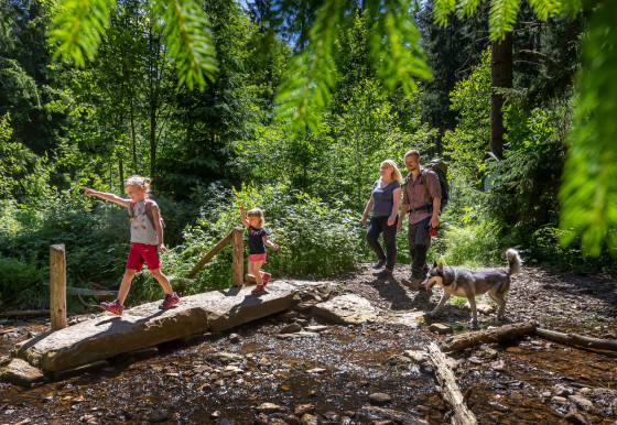 R&ouml;hrgraben Famille