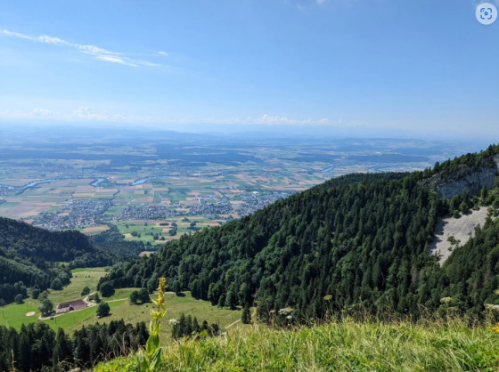 Ronde panoramique