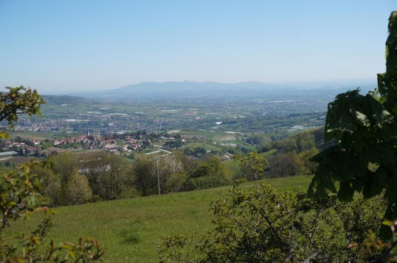 Rontalon