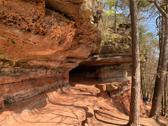 Les rochers de Roppeviller