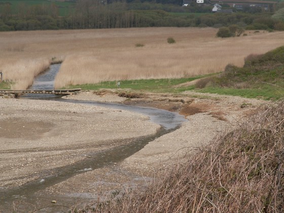 Roselière de kervijen