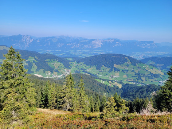 Rosskopf