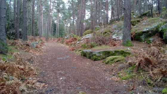 Route Amédée