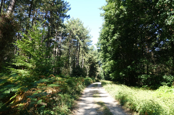 Route anglaise