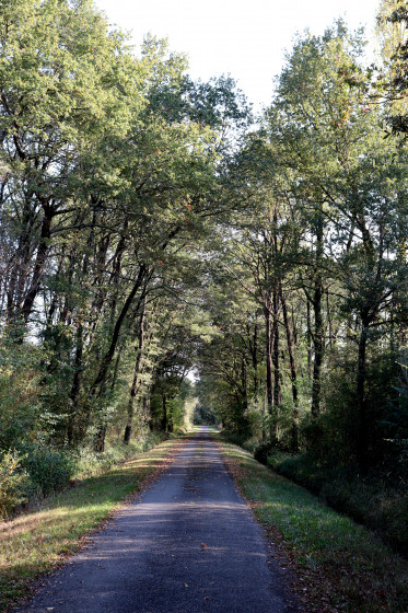 Route d'acc&egrave;s &agrave; la Hire