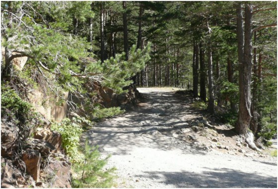 Route d\'accès au barrage de l\'Oule