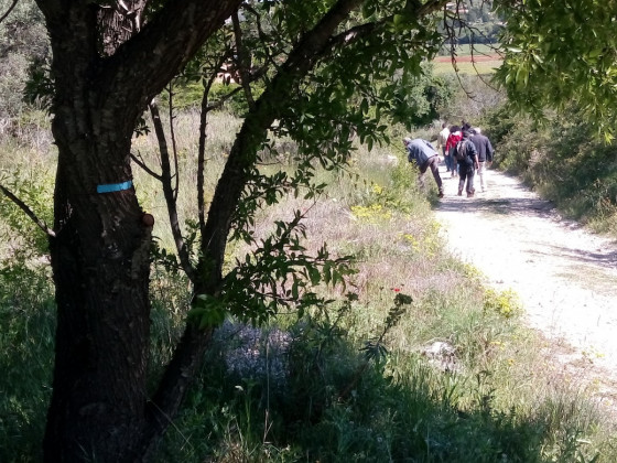 Route de Campagne