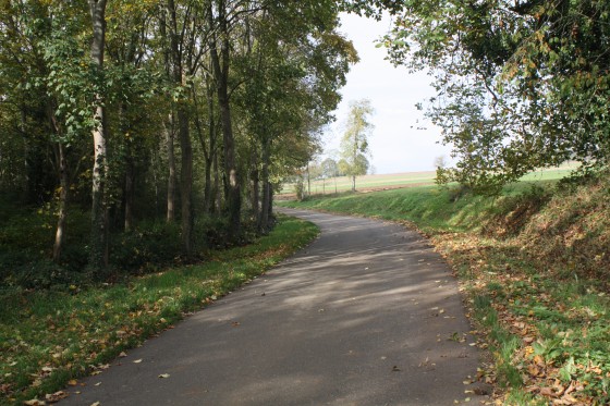 Route de Froeschwiller