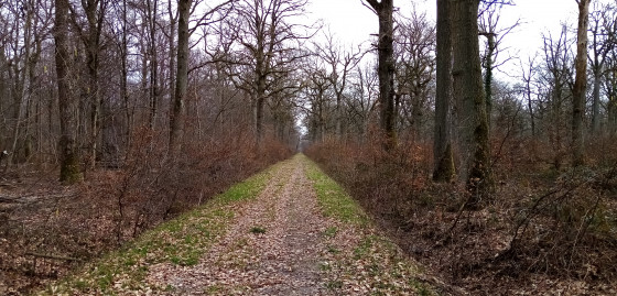 Route de l'&Eacute;tang de Vitry