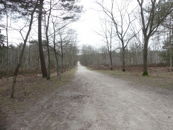 Route de la Cabane Noire