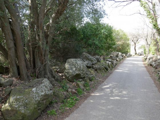 Chemin de la Courtine