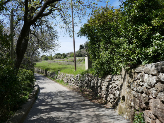 Chemin de la Courtine (suite) Chemin de la Courtine (suite)