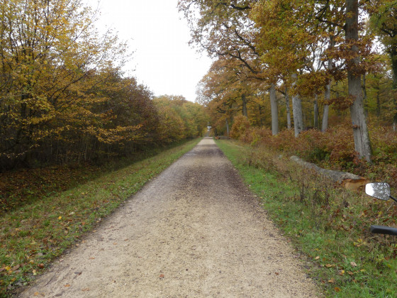Route de la Fresnaie