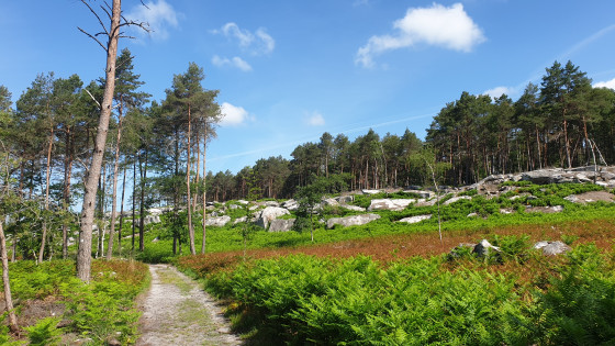 Route de la louve