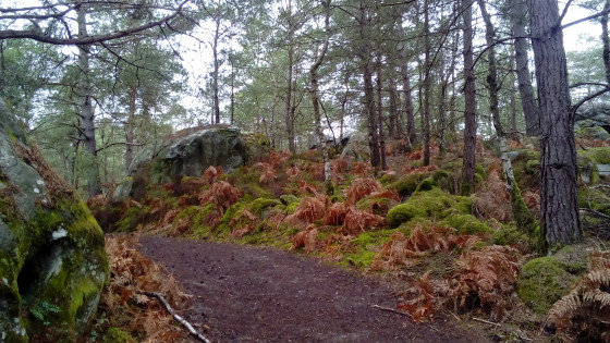 Route de la Louve