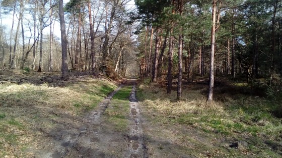 Route de la Princesse Marie