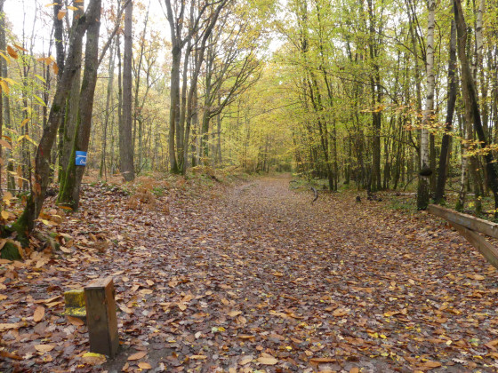 Route de Marcoussis