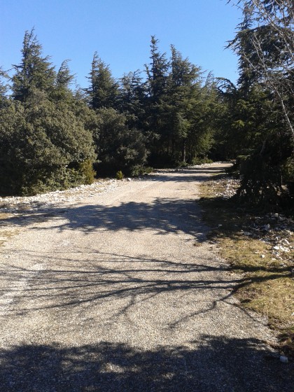 Route des crêtes