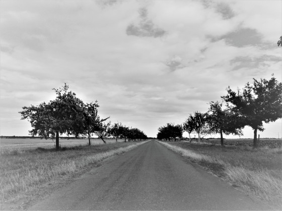Route des pommiers