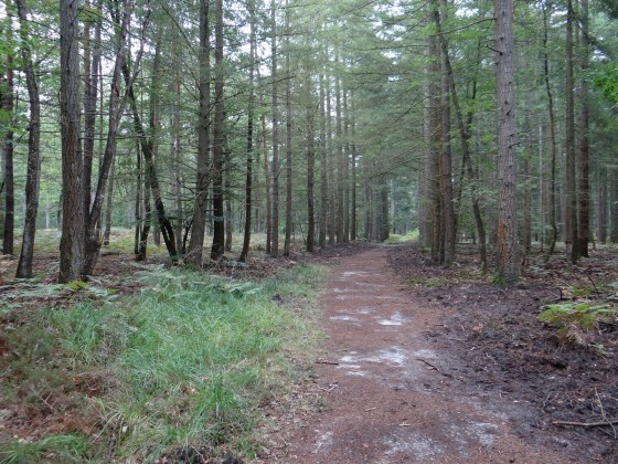 Route des Ventes H&eacute;ron