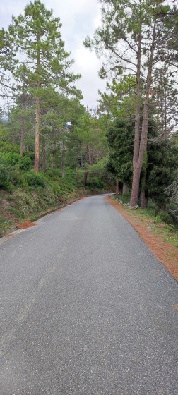 Route déserte