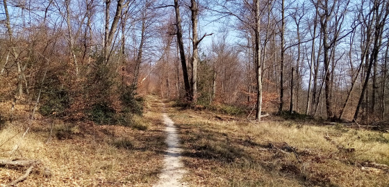 Route du Grippet