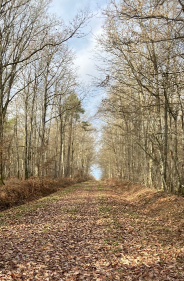 Route du Mauvais Crot