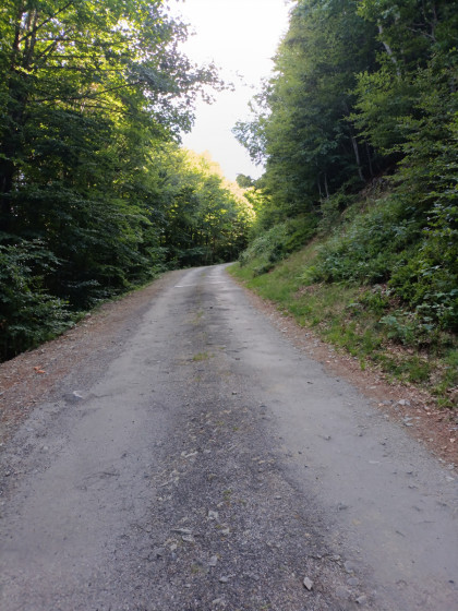 Route du retour