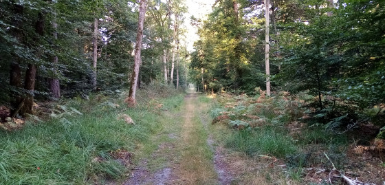 Route du Rocher d\'Avon