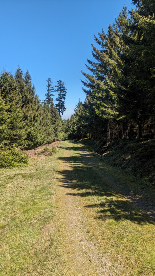 Route foresti&egrave;re de la Maxe